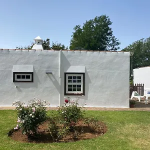 https://finca-la-estufa.in-canary-islands.com